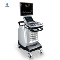 Équipement médical 19 &quot;Scanner à ultrasons LCD Monitor